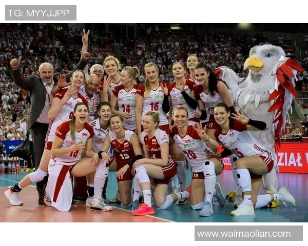 武汉排球队在欧锦赛中的强势表现与未来发展潜力分析